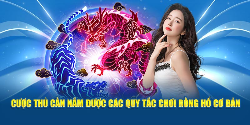 Cược thủ cần nắm được các quy tắc chơi Rồng Hổ cơ bản